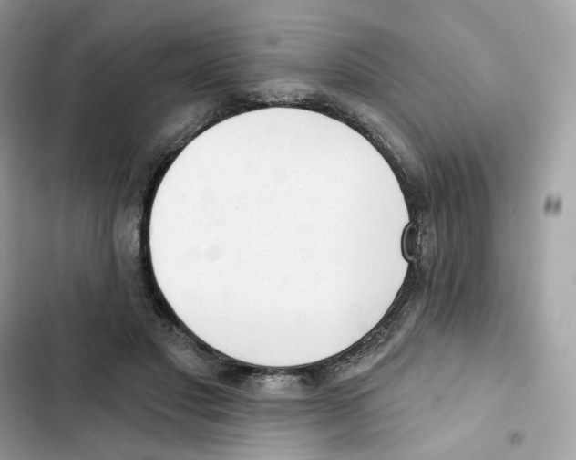 X0000102000501200808151450