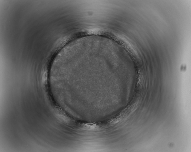 X0000102000502200808151450