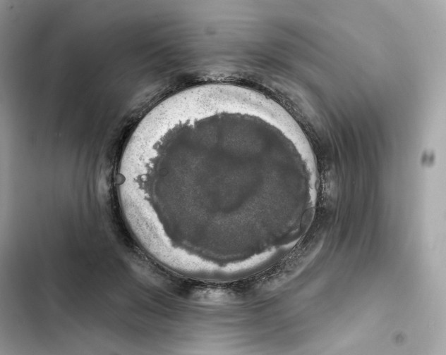 X0000102000503200808151450