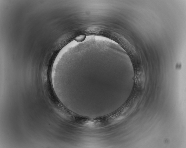 X0000102000504200808151450