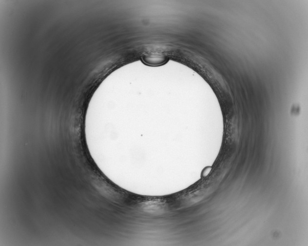 X0000102000505200808151450