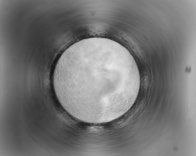 X0000102000508200808151450