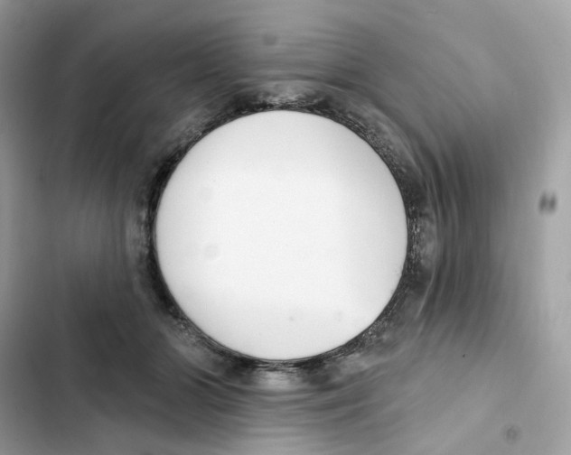 X0000102000510200808151450