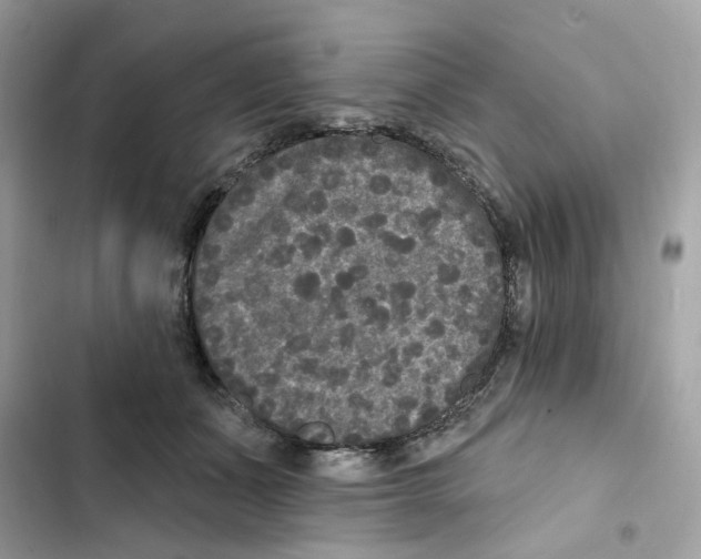 X0000102000511200808151450