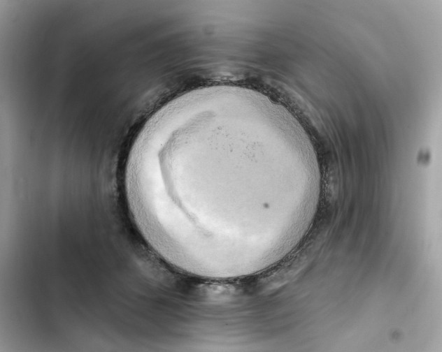 X0000102000512200808151450