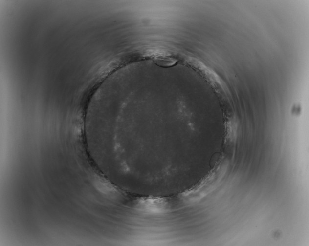 X0000102000517200808151450