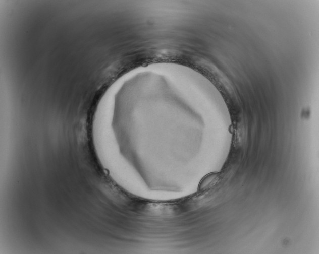 X0000102000520200808151450