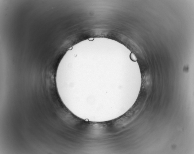 X0000102000522200808151450