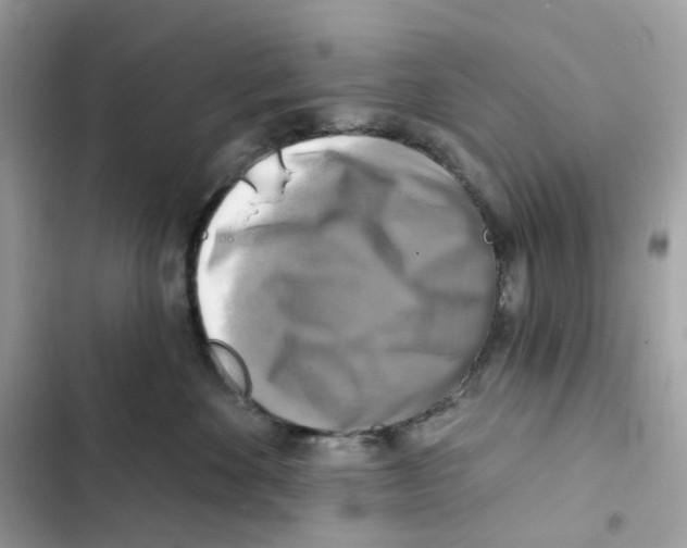 X0000102000524200808151450