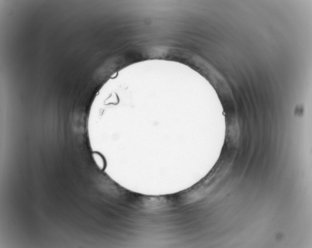 X0000102000525200808151450