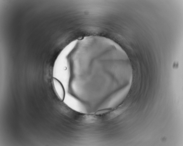 X0000102000528200808151450