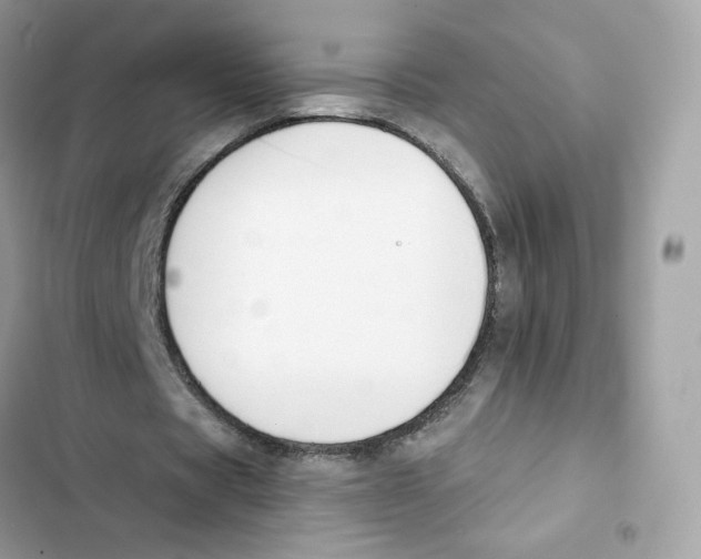 X0000102000529200808151449