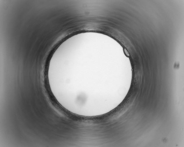 X0000102000530200808151449