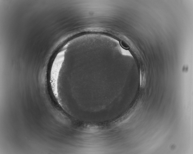 X0000102000531200808151449