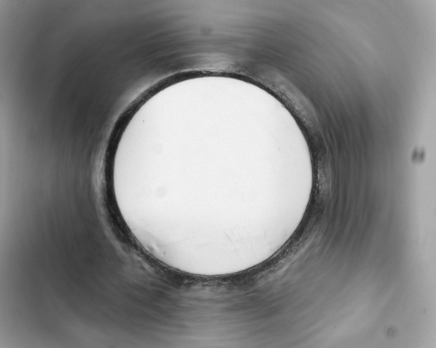 X0000102000532200808151449