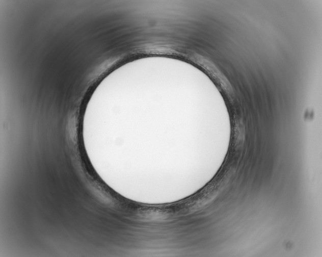 X0000102000533200808151449