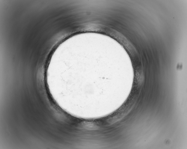 X0000102000534200808151449