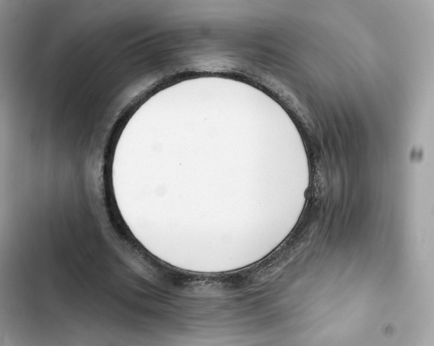 X0000102000535200808151449