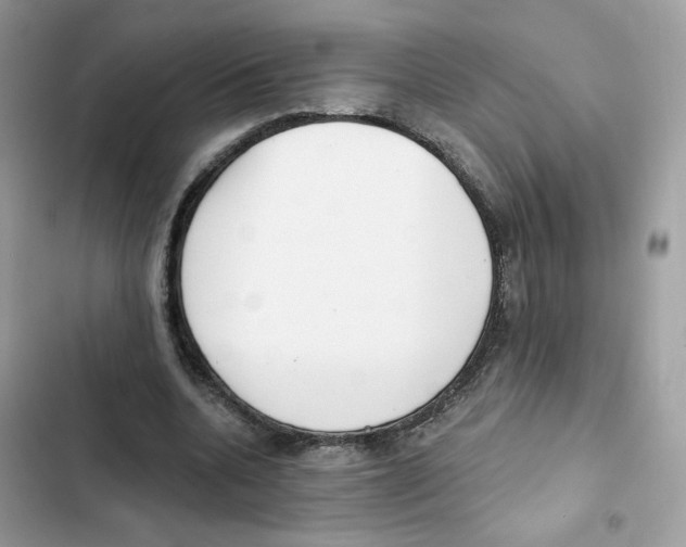 X0000102000536200808151449