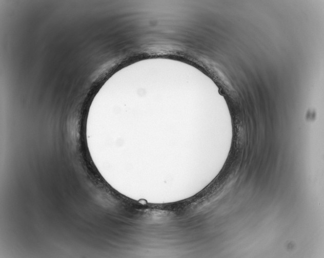 X0000102000539200808151449