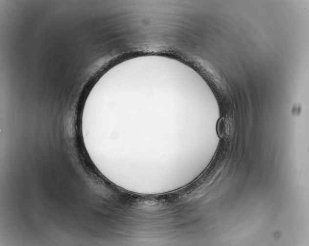 X0000102000540200808151449