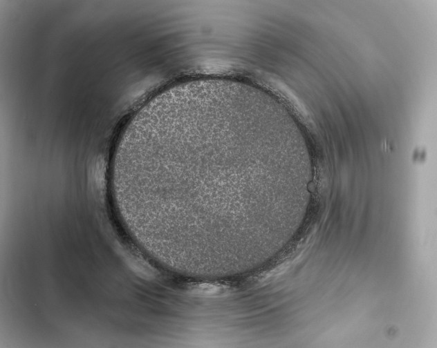 X0000102000542200808151449