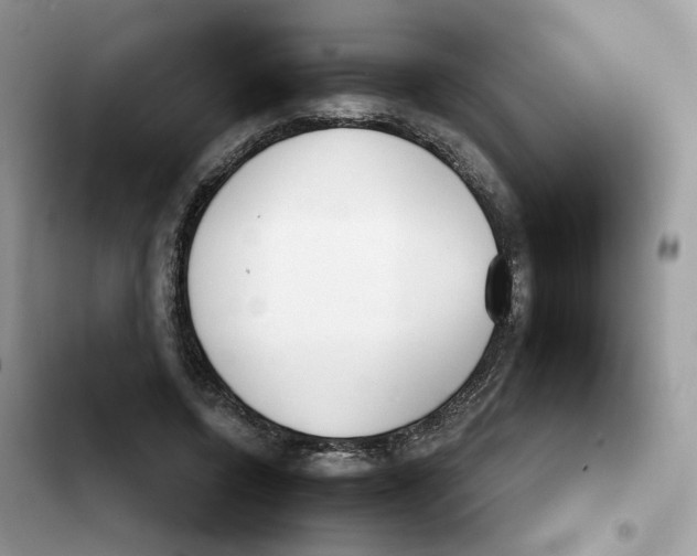 X0000102000544200808151449