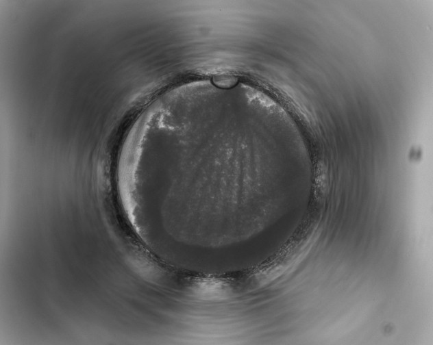 X0000102000547200808151449