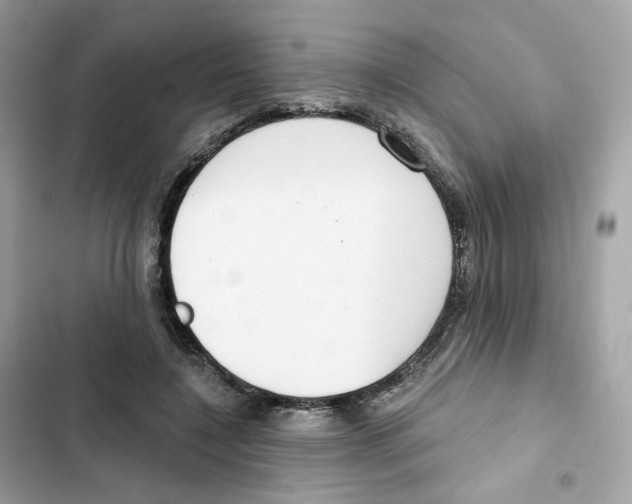 X0000102000548200808151449