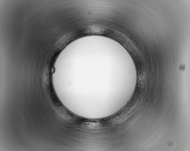 X0000102000552200808151449