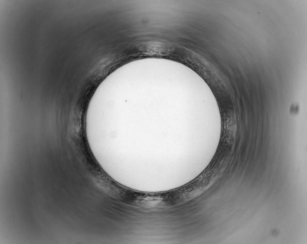 X0000102000554200808151449