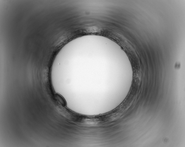 X0000102000556200808151449