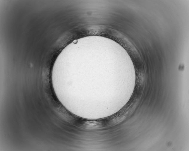 X0000102000557200808151449