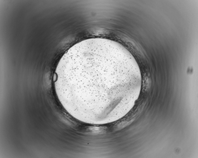 X0000102000558200808151449