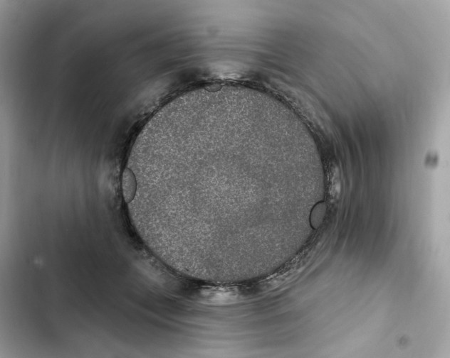 X0000102000559200808151450