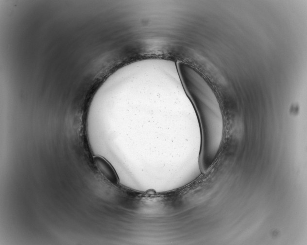 X0000102000560200808151450