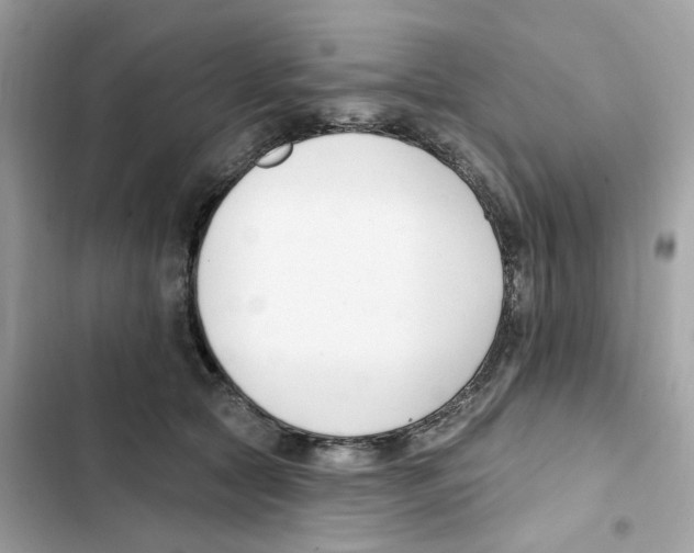 X0000102000561200808151450