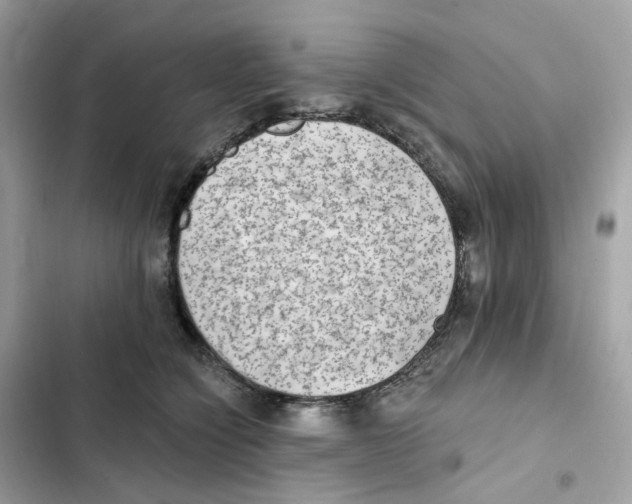 X0000102000564200808151450