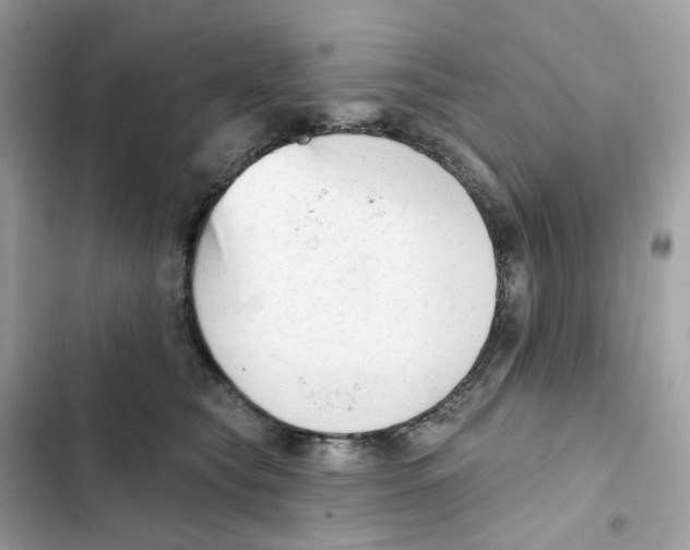 X0000102000565200808151450