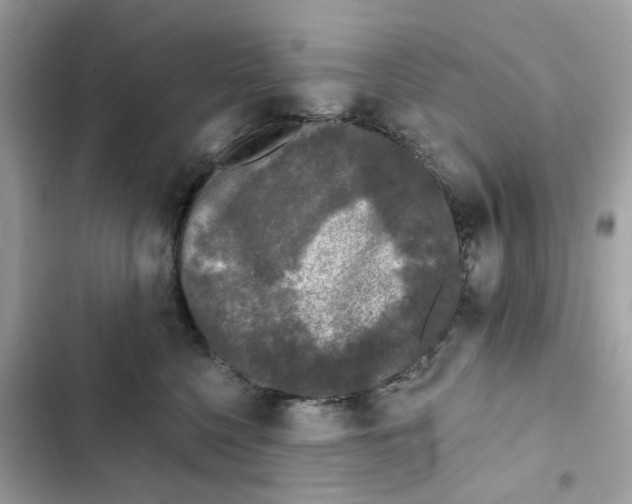 X0000102000568200808151450