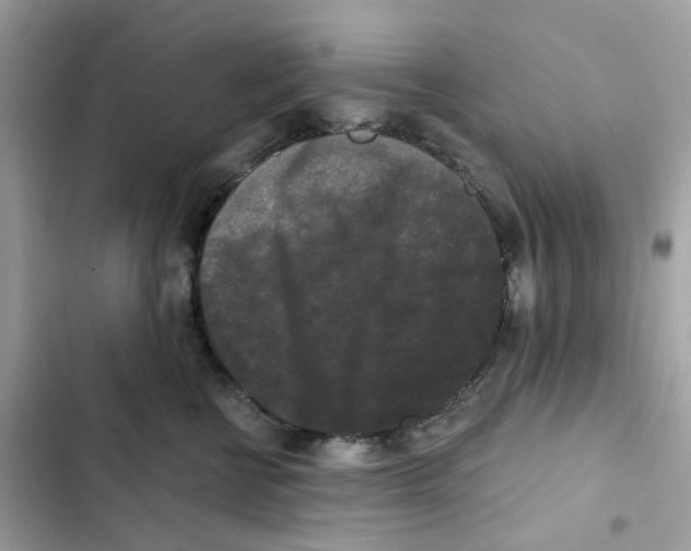 X0000102000570200808151450