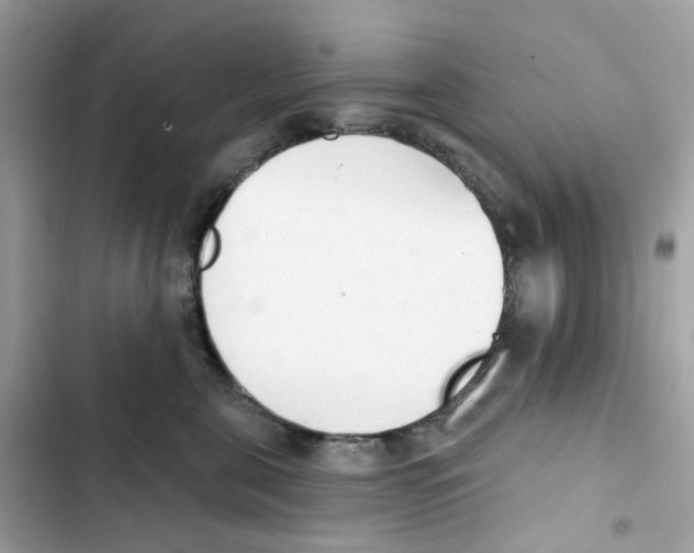 X0000102000571200808151450