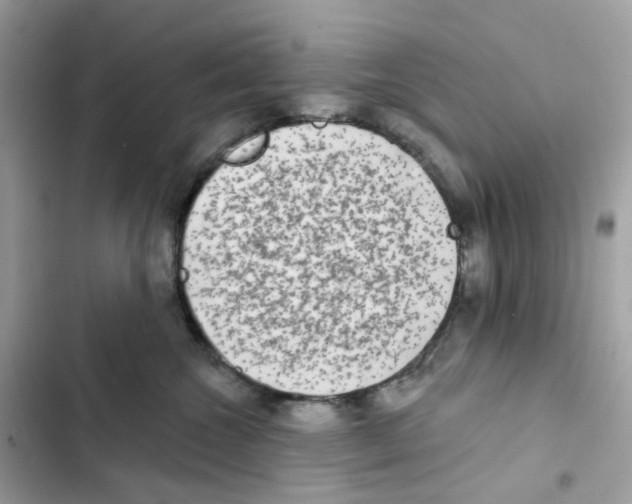 X0000102000572200808151450