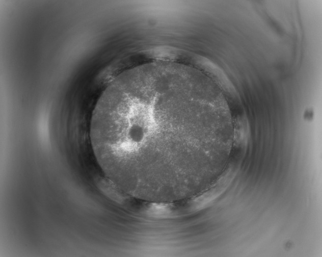 X0000102000573200808151450