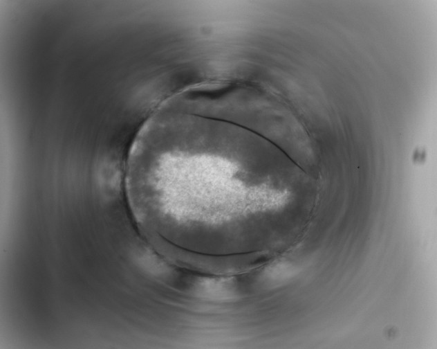 X0000102000576200808151450