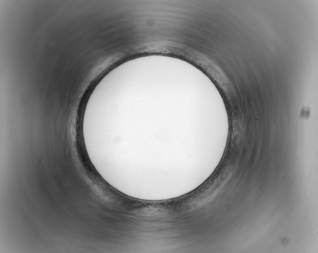 X0000102000578200808151449