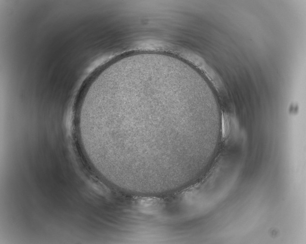 X0000102000579200808151449