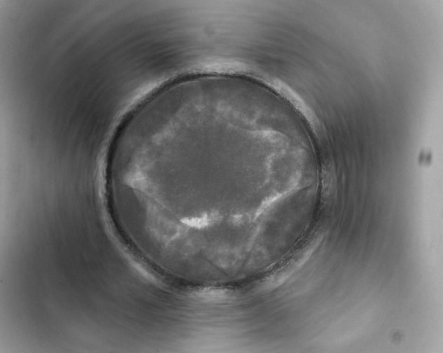 X0000102000581200808151449