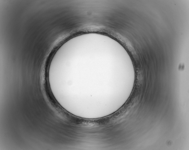 X0000102000582200808151449