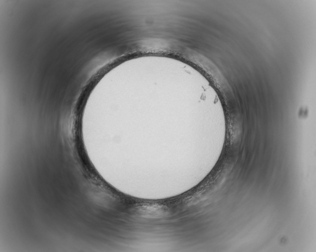 X0000102000583200808151449